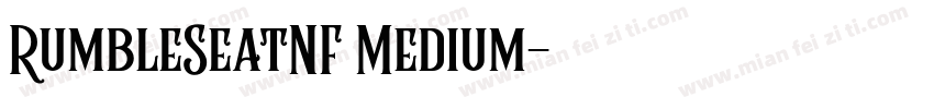 RumbleSeatNF Medium字体转换